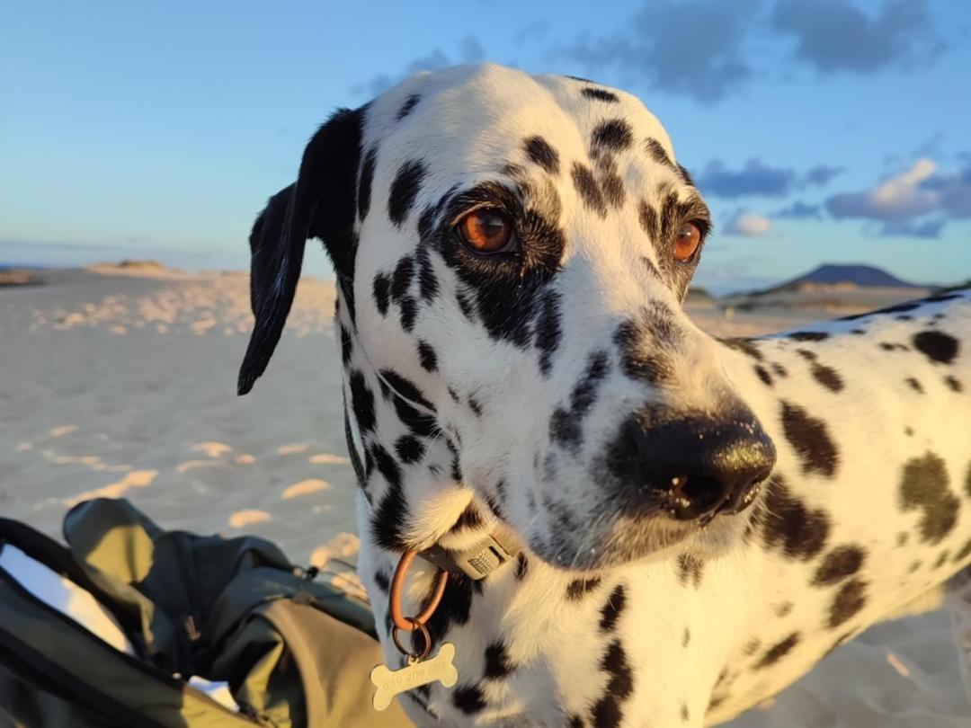 Alojamiento Fuerteventura Tikuna La Oliva Exteriér fotografie